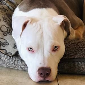 Meet your Posher, Elena